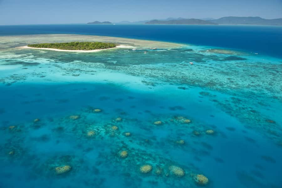 From Cairns: Full-Day Green Island Cruise - Arriving at Green Island National Park