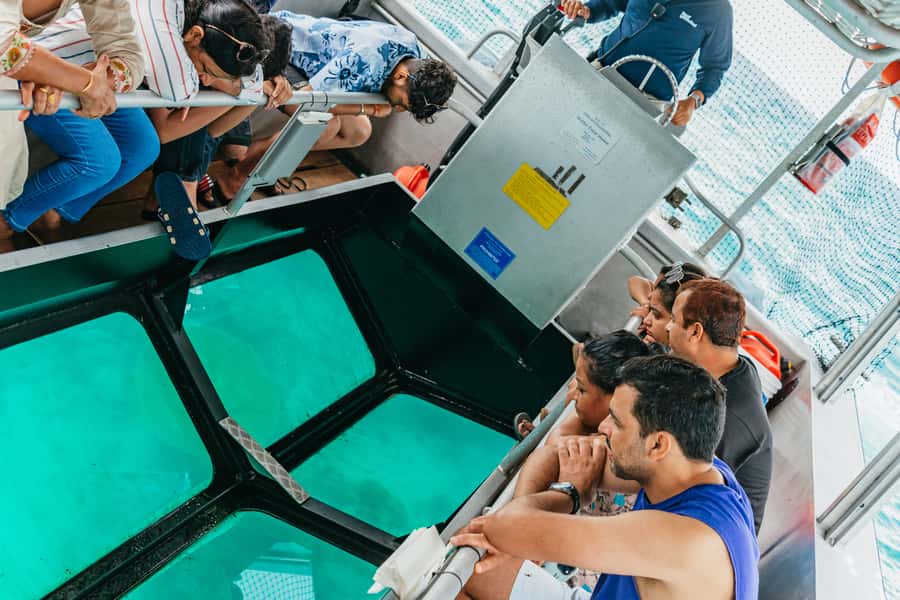 From Cairns: Green Island Full-Day Cruise - Who will enjoy this Green Island cruise