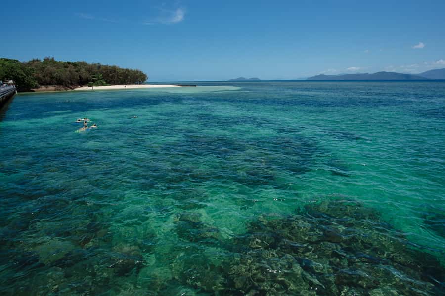From Cairns: Green Island Half-Day Morning Cruise - A short catamaran ride from Cairns