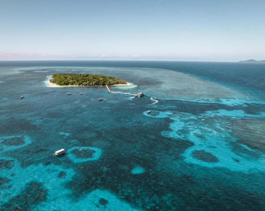 From Cairns: Half-Day Afternoon Cruise to Green Island - A short afternoon across the Coral Sea