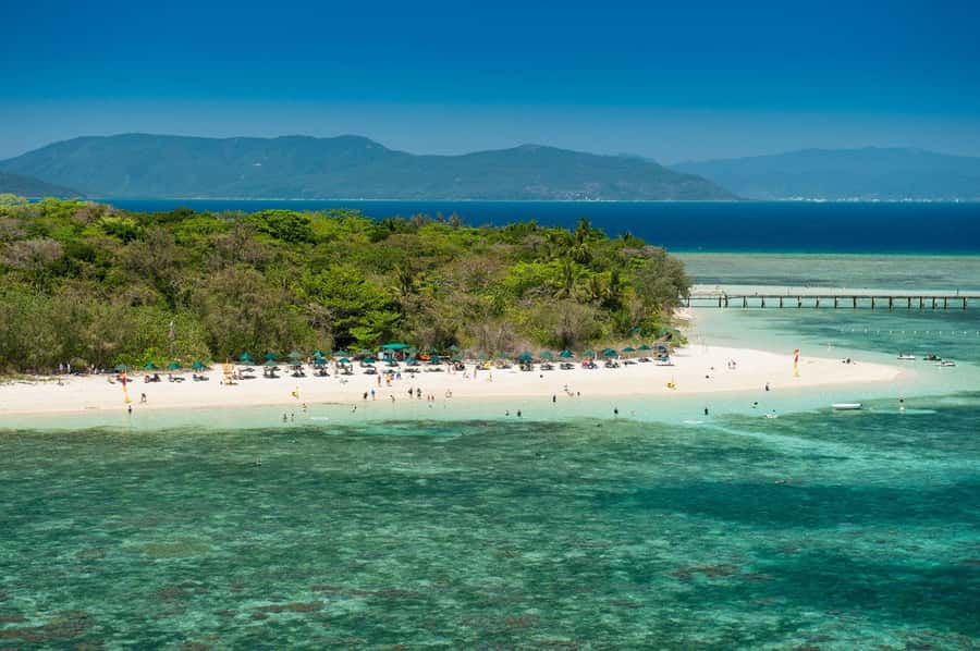 From Cairns: Half-Day Afternoon Cruise to Green Island - Arriving at a 600-year-old coral cay