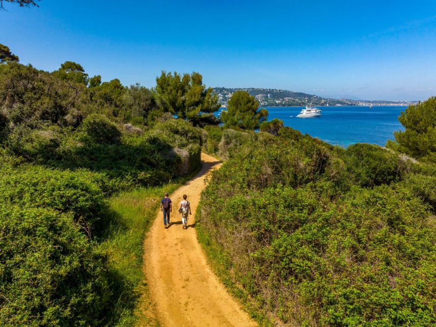 From Cannes: Round-Trip Ferry to Ste. Marguerite Island - Price and overall value