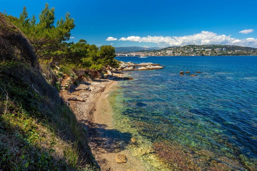 From Cannes: Round-Trip Ferry to Ste. Marguerite Island - Pine, eucalyptus, and marked walking trails