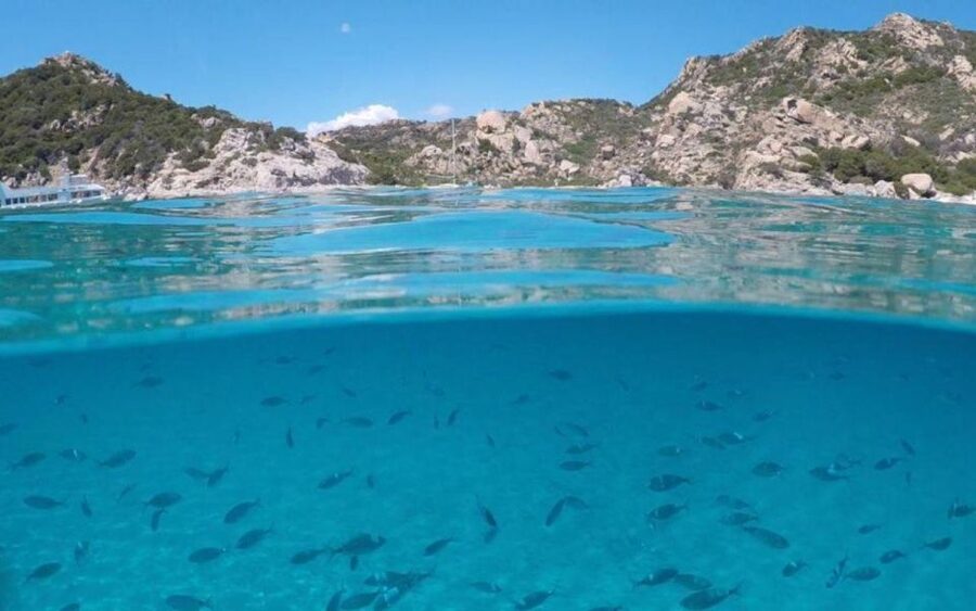 From Cannigione: Catamaran tour among La Maddalena islands - The personal touch from Francesco and Simone