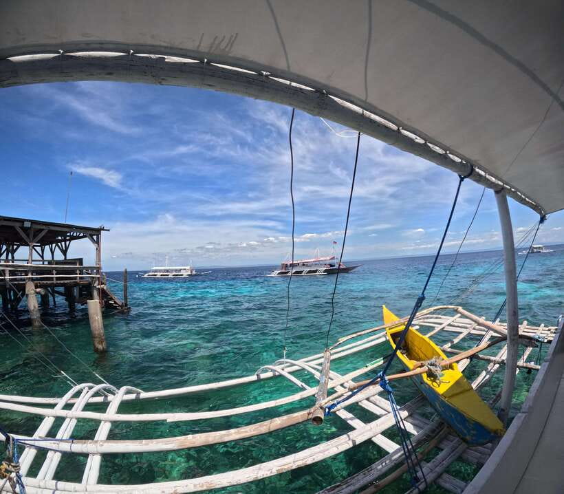 From Cebu: Island Hopping to 3 islands with BBQ lunch - Hilutungan Marine Sanctuary: the strongest snorkeling stop
