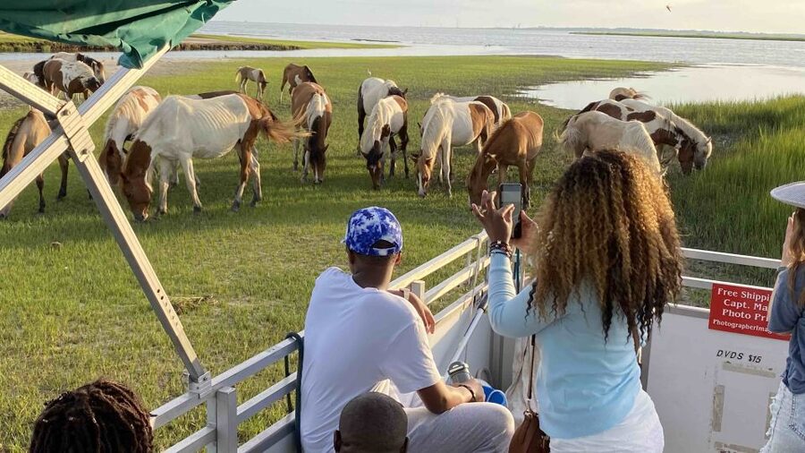 From Chincoteague Island: Assateague Island Boat Tour - Leaving Chincoteague near Wallops Island