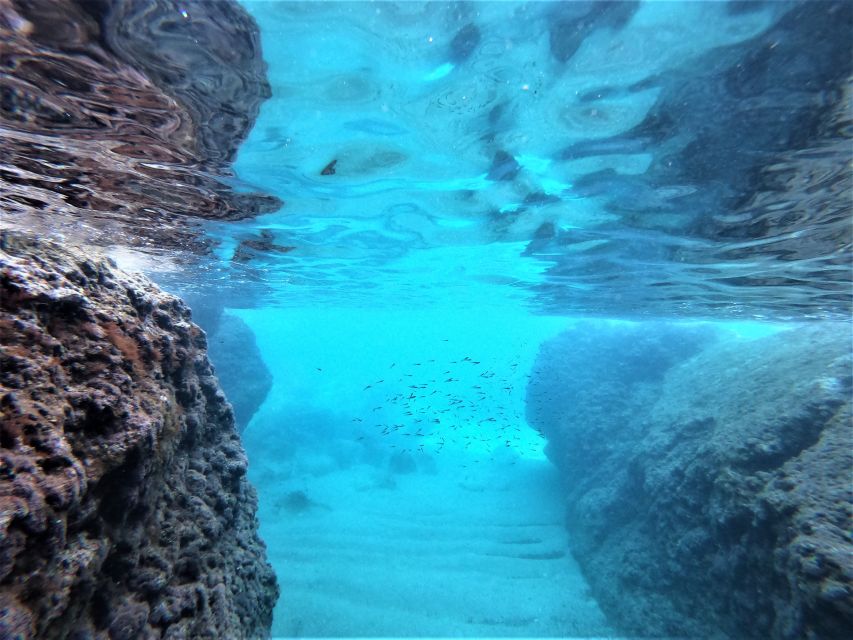 From Dubrovnik: 4-hour Elafiti Islands Private Boat Tour - Should you book it?