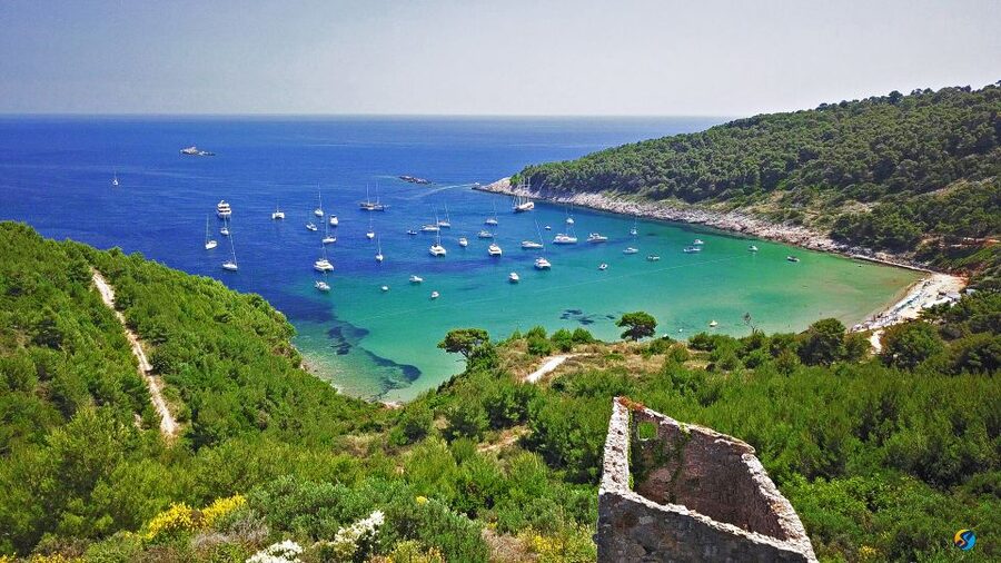 From Dubrovnik: Full-Day Private Boat Tour of Elafiti Island - Why a private Elafiti cruise works so well