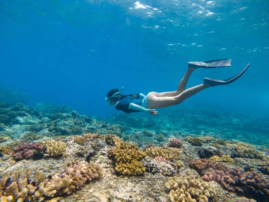 From Fajardo: Boat and Snorkeling in Culebra Island with All-Inclusive - From Fajardo to Culebra by boat