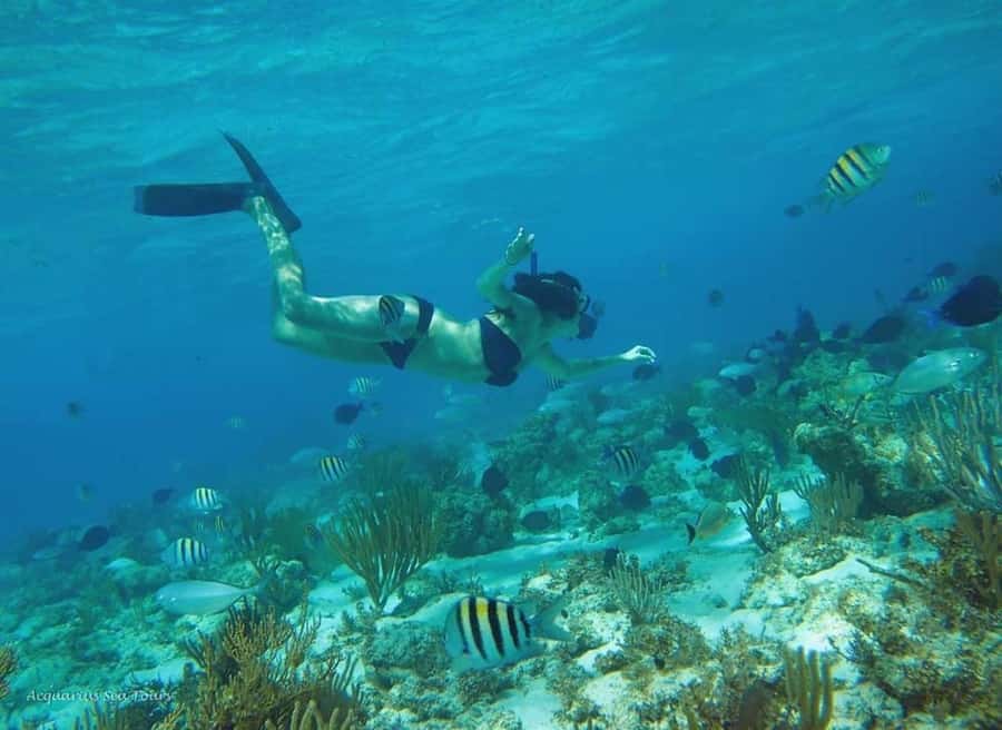 From Fajardo: Boat and Snorkeling in Culebra Island with All-Inclusive - How the crew shapes the experience
