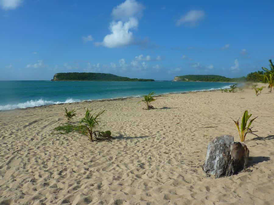 From Fajardo: Boat and Snorkeling in Culebra Island with All-Inclusive - Who should book this Culebra outing?