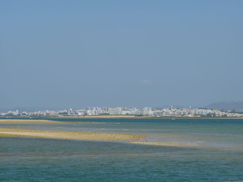 From Faro: 2-Island, 2-Stop Ria Formosa Catamaran Tour - Who should book this island trip?