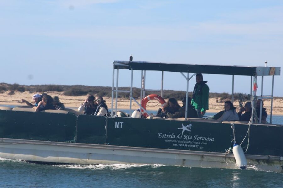 From Faro: 2-Island, 2-Stop Ria Formosa Catamaran Tour - Setting out from Faro’s Porta Nova pier
