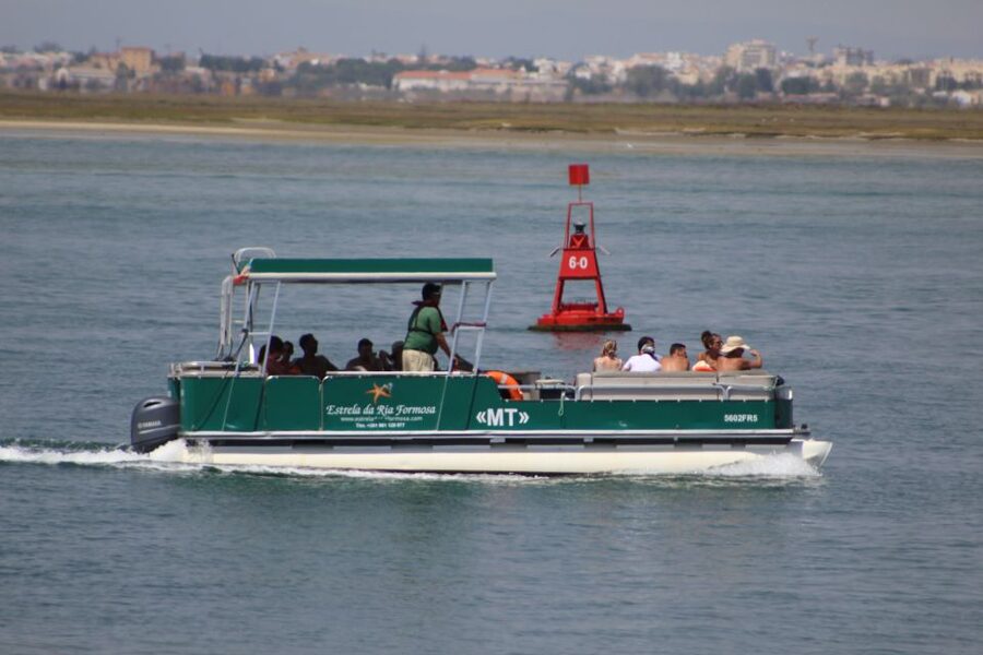 From Faro: 2-Island, 2-Stop Ria Formosa Catamaran Tour - The return through a changing Ria Formosa
