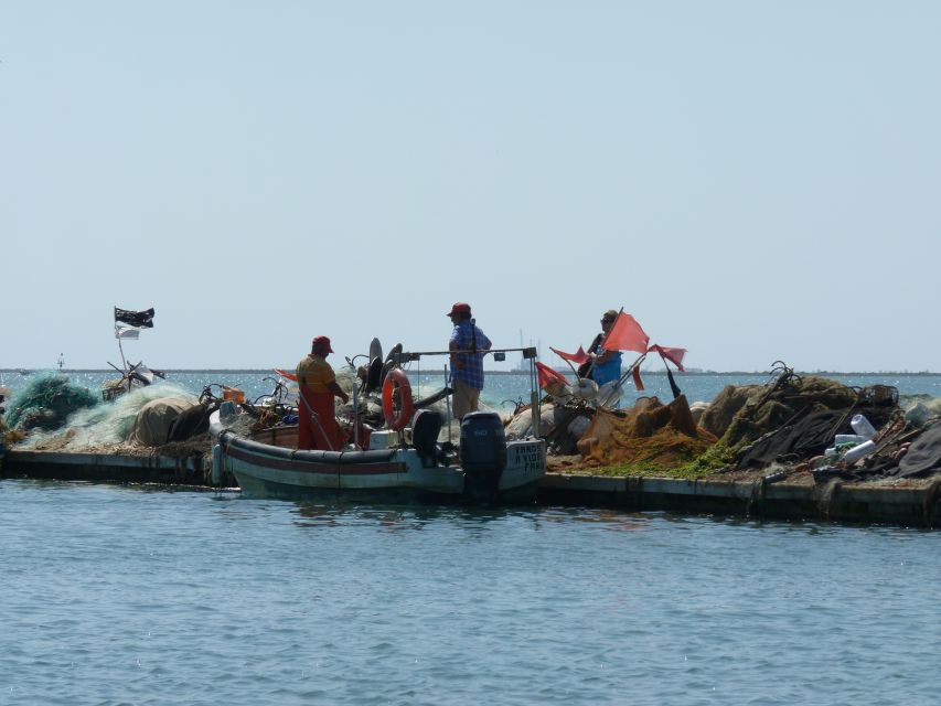 From Faro: 4 Stops, 3 Islands in Ria Formosa Catamaran Tour - What the guide adds to the experience