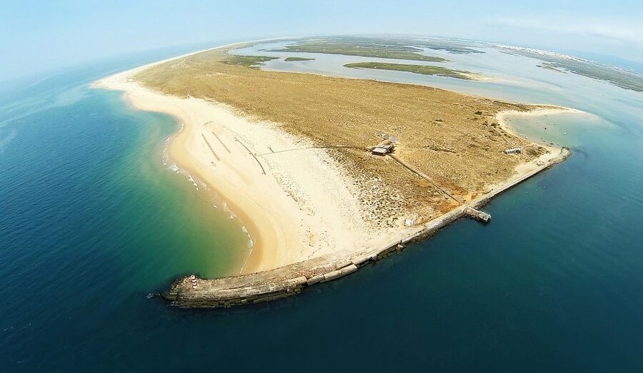 From Faro: Catamaran Boat Trip to Deserta Island with Stop - The 2-kilometer boardwalk through dunes
