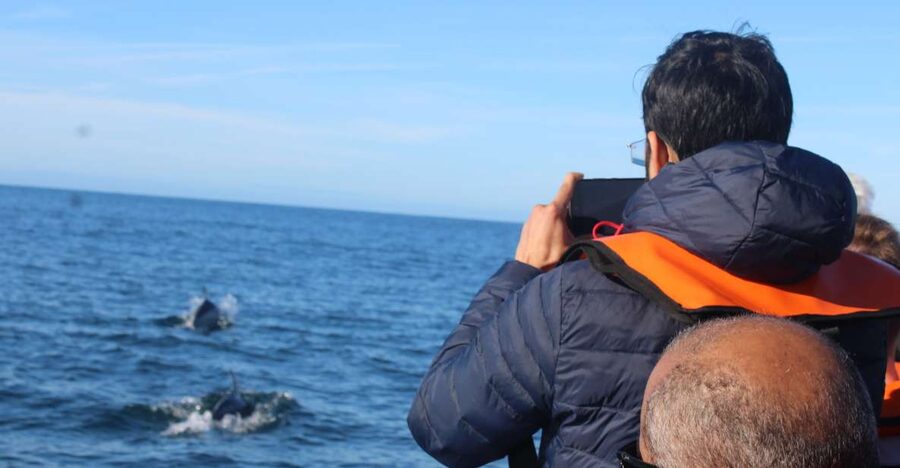 From Faro: Dolphin Watching & 2 Islands Tour - From Faro’s old town to the open Atlantic