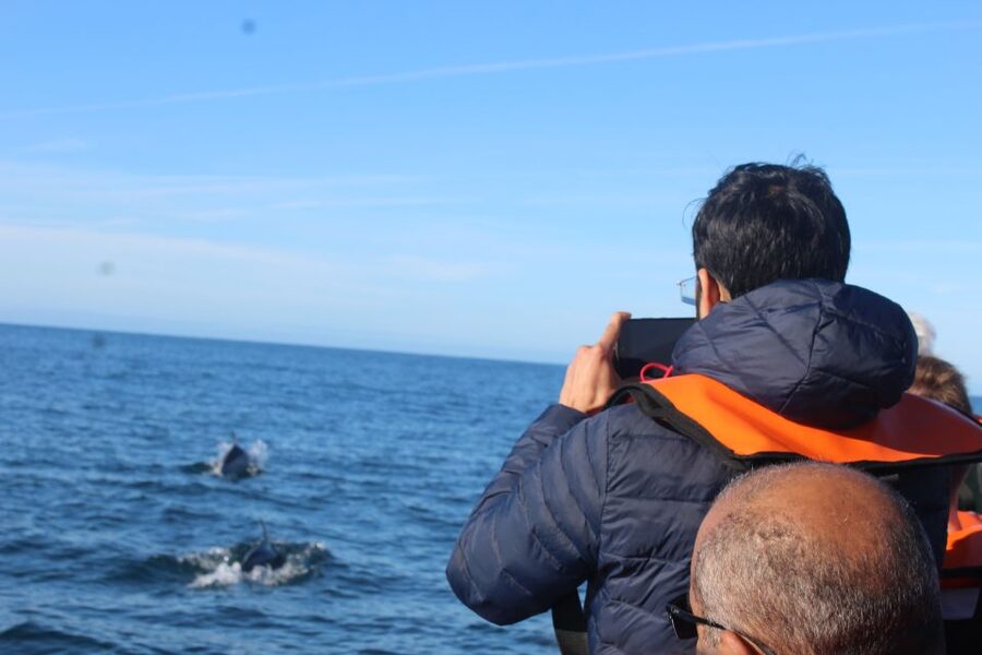From Faro: Dolphin Watching & 2 Islands Tour - Guides, languages, and the feel on board