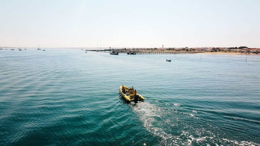 From Faro: Ria Formosa Hop-On Hop-Off 3 Islands Cruise - Why This Faro Boat Day Works So Well