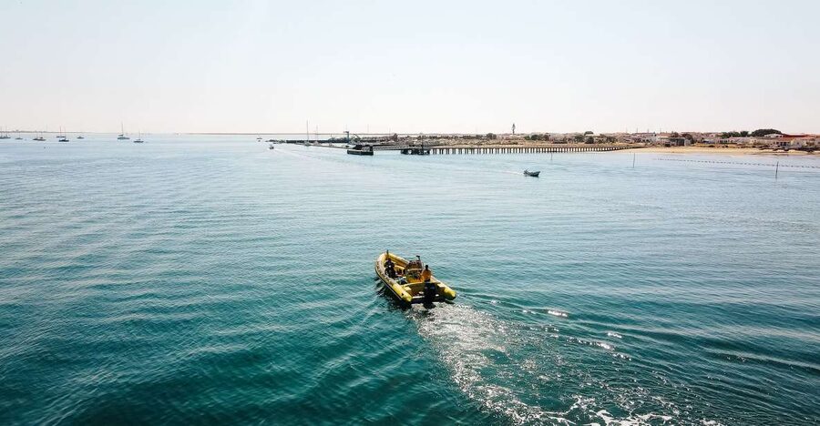 From Faro: Ria Formosa Hop-On Hop-Off 3 Islands Cruise - First Stop: Desert Island and Cape Saint Mary