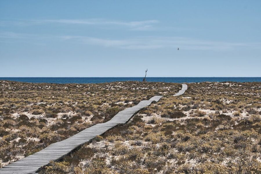 From Faro: Ria Formosa Hop-On Hop-Off 3 Islands Cruise - What the $47 Price Really Buys You