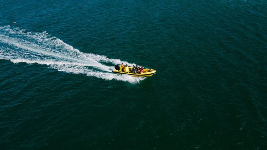 From Faro: Ria Formosa Hop-On Hop-Off 3 Islands Cruise - Farol Island Brings the Lighthouse and Beach Bars