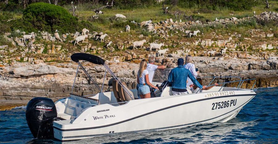 From Fažana: Private boat tour of Brijuni Islands - Key points at a glance