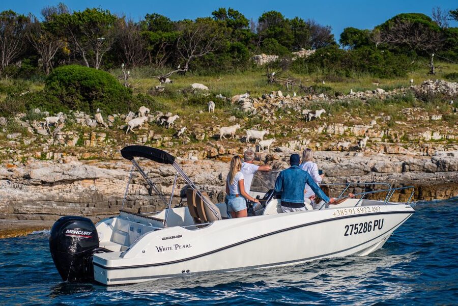 From Fažana: Private boat tour of Brijuni Islands - A private look at the Brijuni islands from Fažana