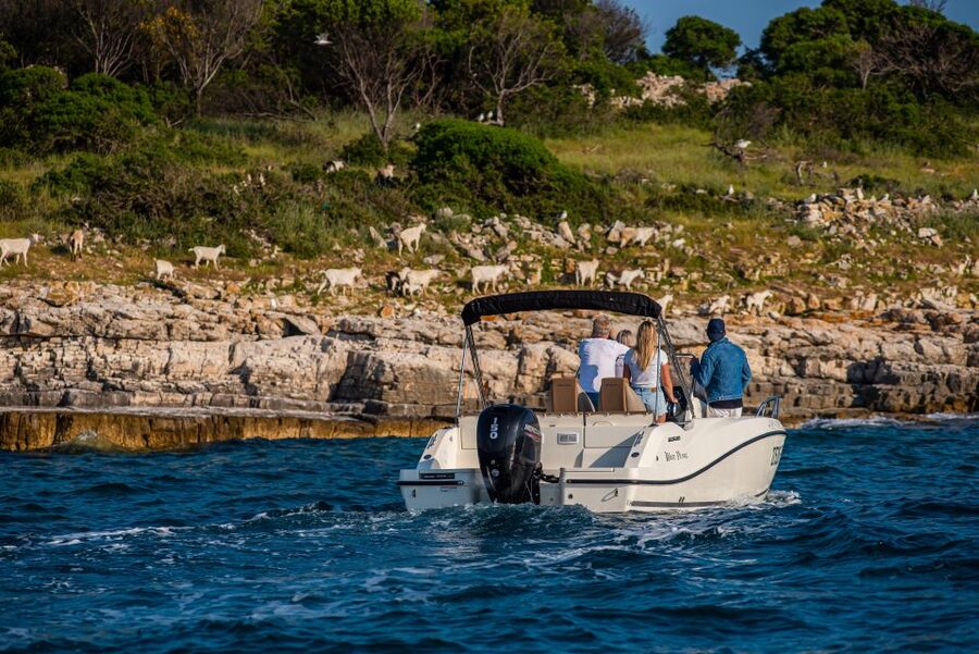 From Fažana: Private boat tour of Brijuni Islands - What the skipper adds