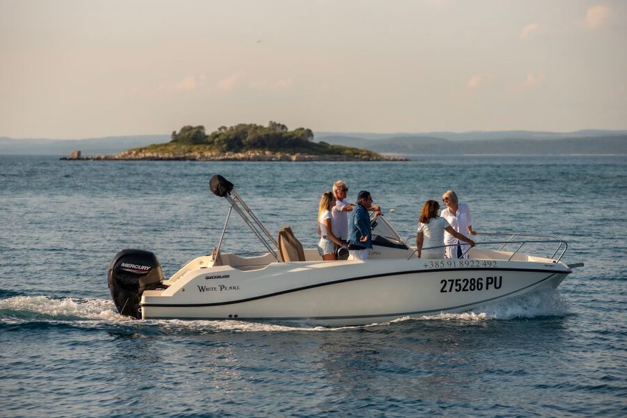 From Fažana: Private boat tour of Brijuni Islands - Who gets the best value