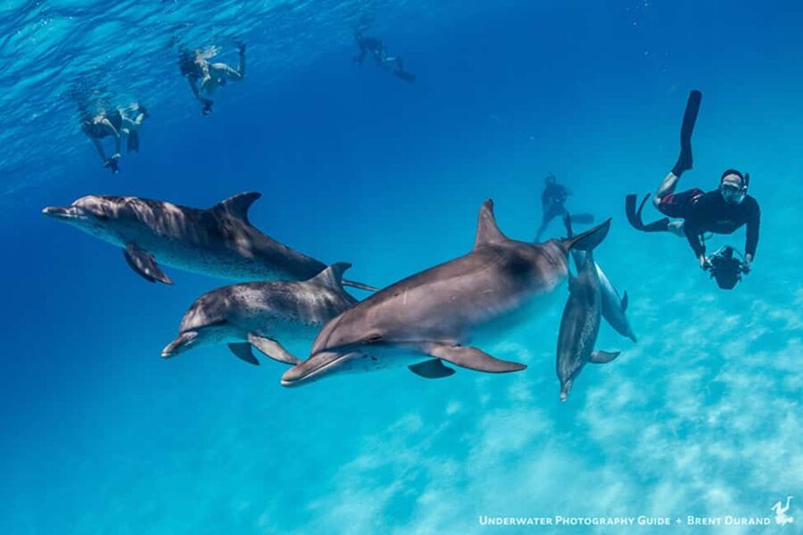 From Fort Lauderdale: Bimini Island Day Trip by Ferry - Passport and re-entry details