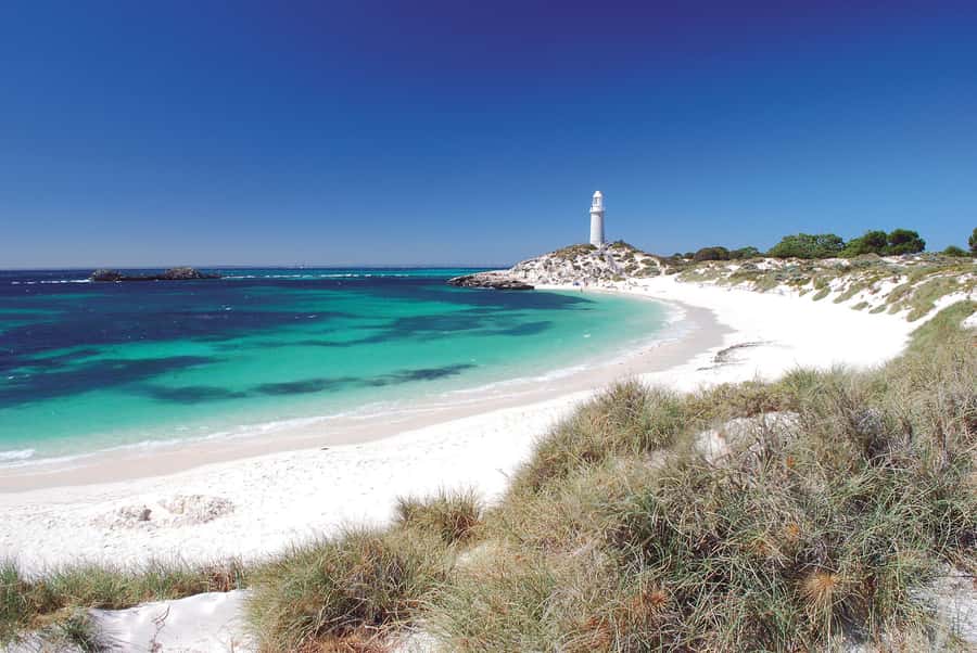 From Fremantle: Rottnest Island Ferry and Bike Day Tour - Beaches and bays worth your pedal power