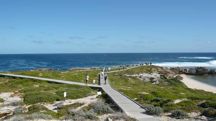 From Fremantle: Rottnest Island Ferry & Bus Day Tour - Key points to know before you book