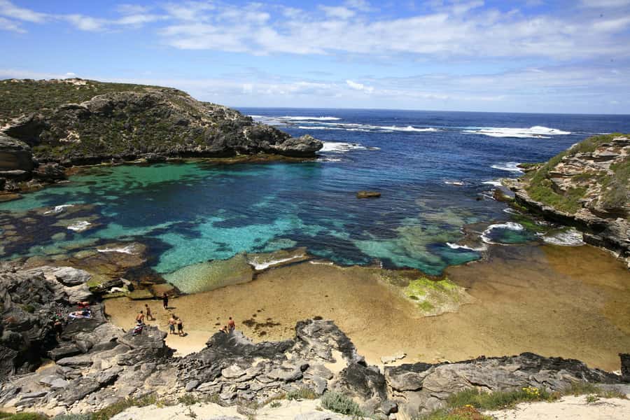 From Fremantle: Rottnest Island Ferry & Bus Day Tour - Why the bus is a smart way to meet Rottnest