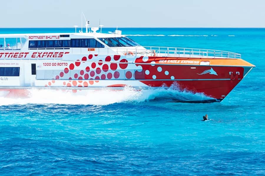 From Fremantle: Rottnest Island Ferry & Bus Day Tour - The 90-minute circuit around Wadjemup