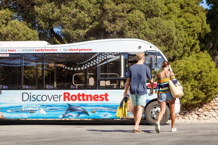 From Fremantle: Rottnest Island Ferry & Bus Day Tour - How to plan the day without feeling rushed