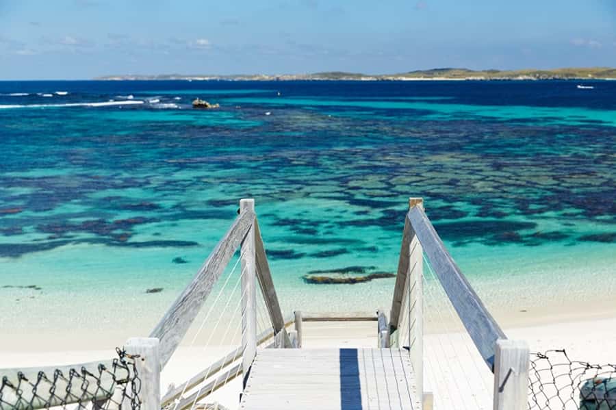 From Fremantle: Rottnest Island Ferry & Bus Day Tour - Who should book this Rottnest Island tour?