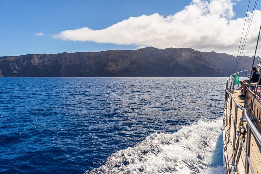 From Funchal: Wooden Boat Excursion to Desertas Island - The short nature visit