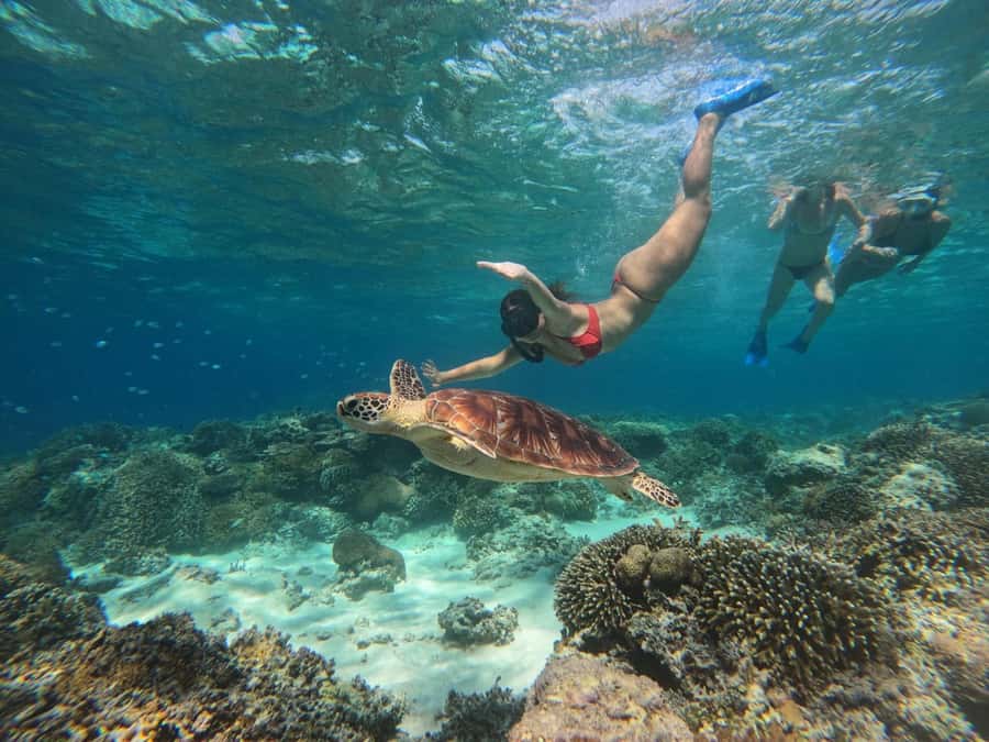 From Gili Air : 3 Islands Snorkeling Trip with Sea Turtles - Gili Meno Brings the Turtles and Statues