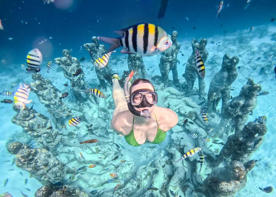 From Gili Trawangan: Gili Islands Snorkeling Boat Tour - Three snorkel stops from Gili Trawangan