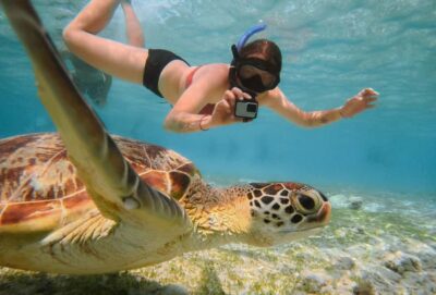 From Gili Trawangan: Gili Islands Snorkeling Boat Tour