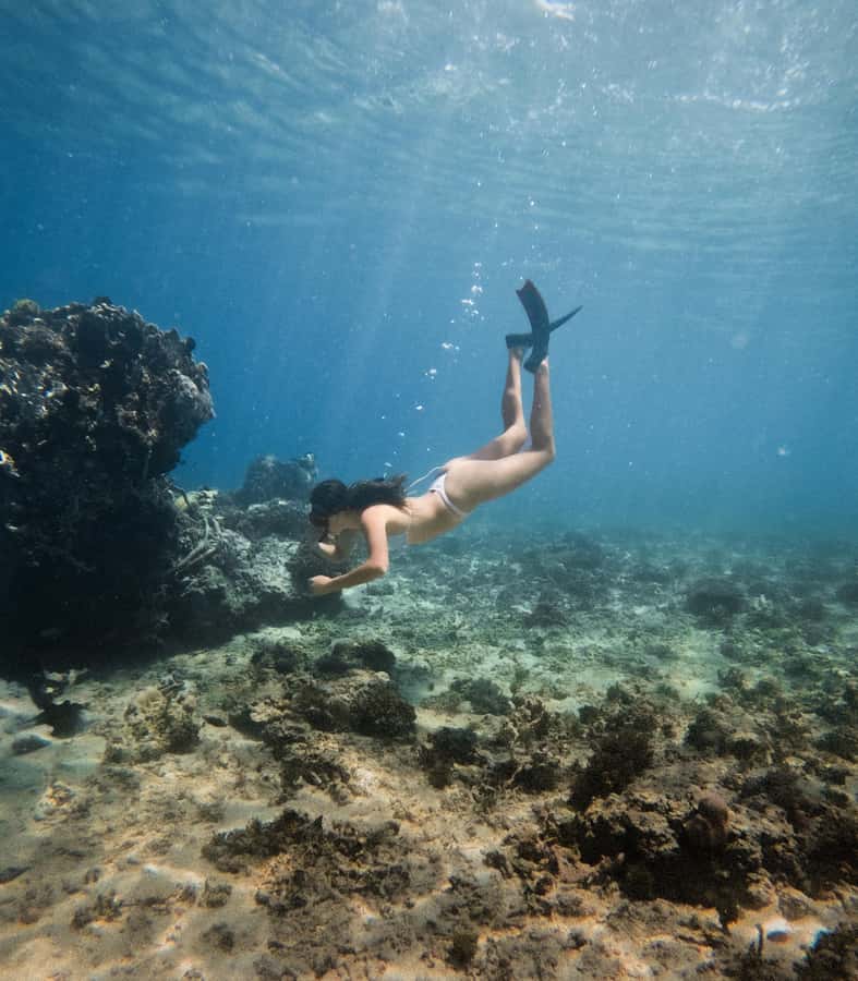 From Gili Trawangan: Gili Islands Snorkeling Boat Tour - Gili Air: lunch, a walk, and a pause from the water