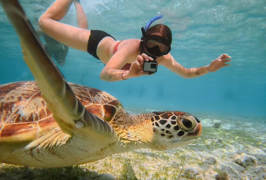 From Gili Trawangan: Gili Islands Snorkeling Boat Tour - The Nest statues: beautiful, famous, and often busy