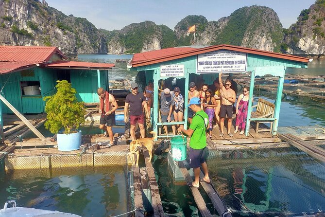 From Ha Noi/Cat Ba: Full-Day Cruise to Lan Ha bay - Ha Long Bay - From Cat Ba pier to the first fishing village