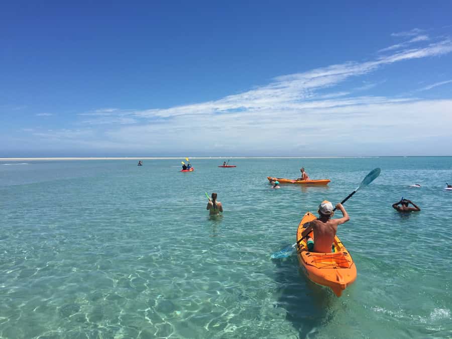 From Hervey Bay: Half-Day K'gari Fraser Island Beach Cruise - Key points to know before booking