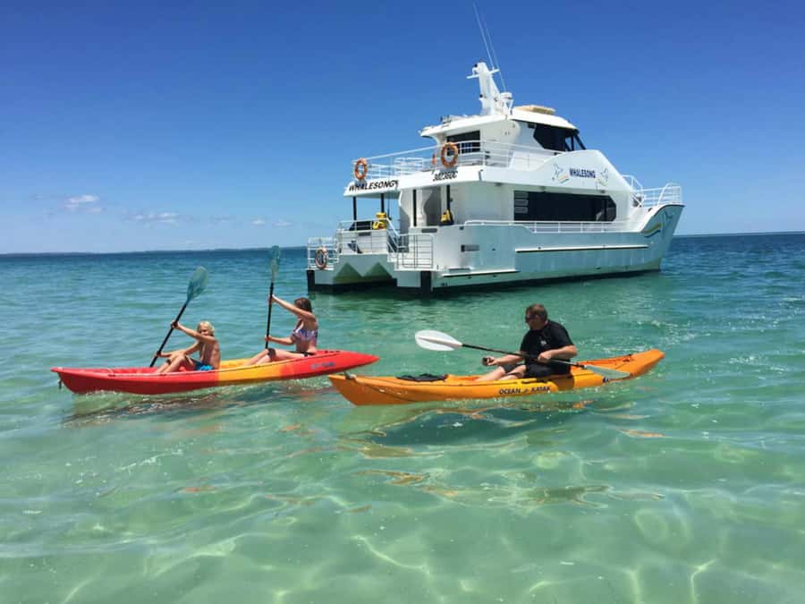 From Hervey Bay: Half-Day K'gari Fraser Island Beach Cruise - What lunch adds to the value