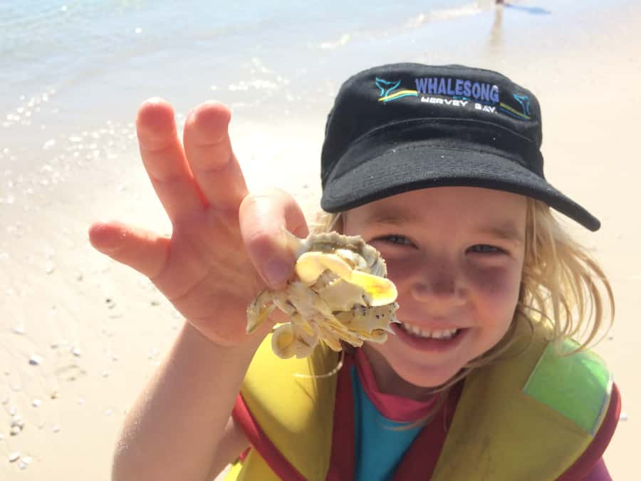 From Hervey Bay: Half-Day K'gari Fraser Island Beach Cruise - Is $113 fair for a five-hour outing?