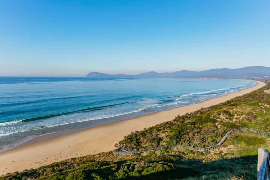 From Hobart/Adventure Bay: Bruny Island Wilderness Cruise - Who should book this Bruny Island cruise?