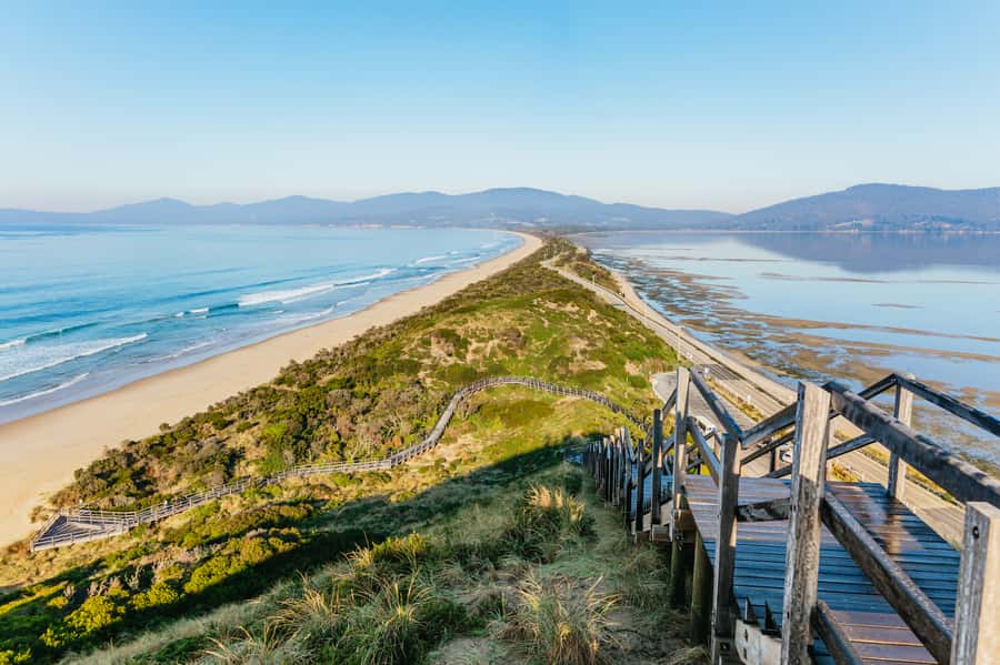 From Hobart/Adventure Bay: Bruny Island Wilderness Cruise - Why Bruny’s southern coast is worth seeing from the water