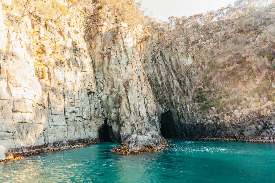 From Hobart/Adventure Bay: Bruny Island Wilderness Cruise - Wildlife at The Friars and beyond